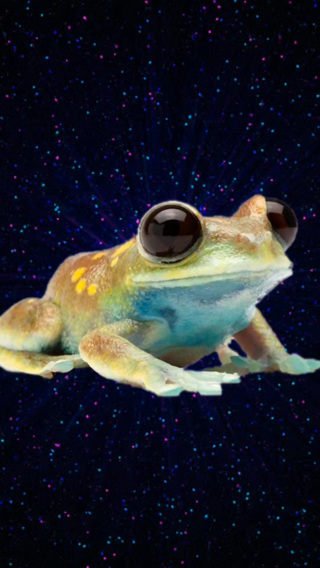 @frogs and autism