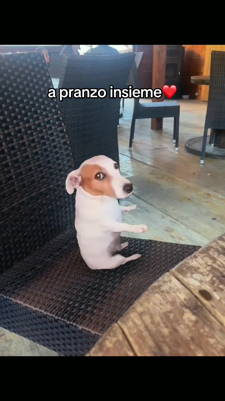 @-.𝕒𝕝𝕝𝕖.-⭐️