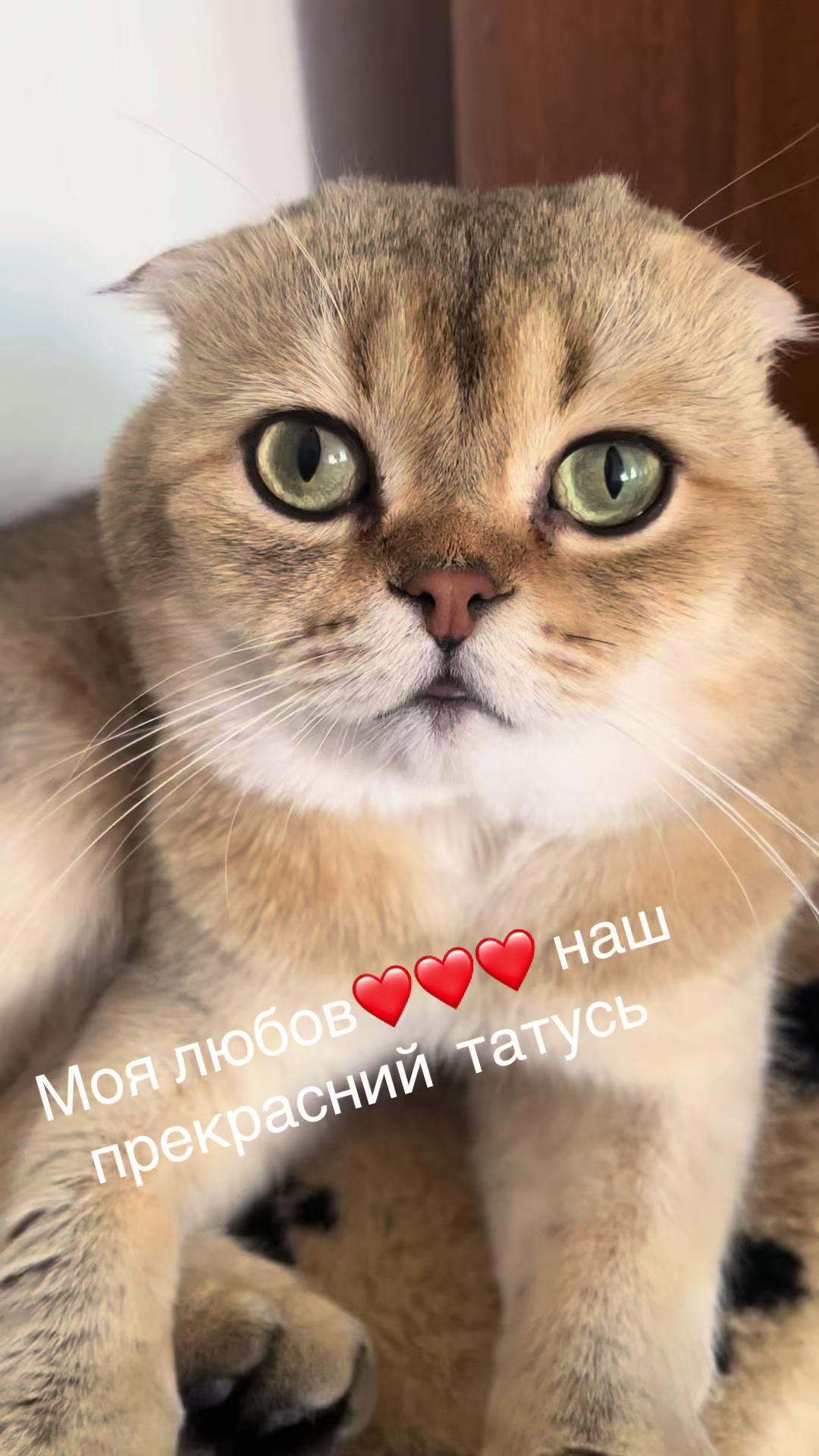 @Джессі-Річчі