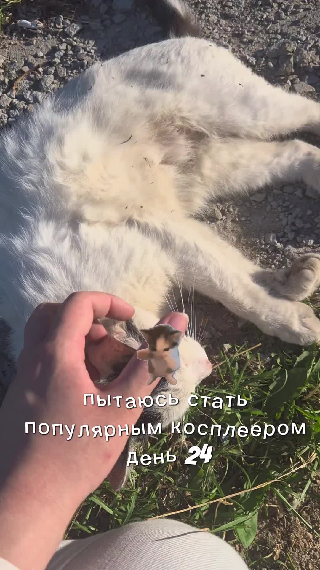 @L1_1ox (Лив лох) @