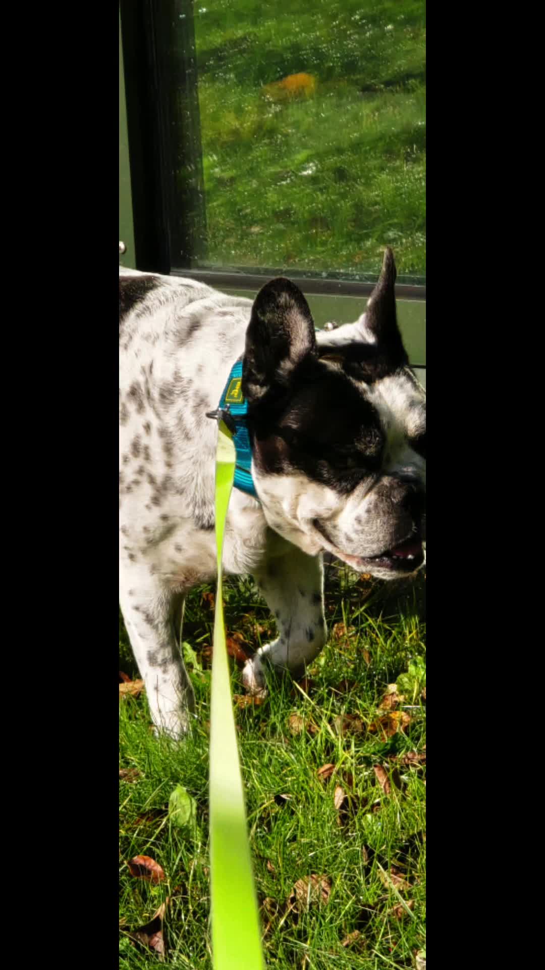 @Caya und Tyson ✝️