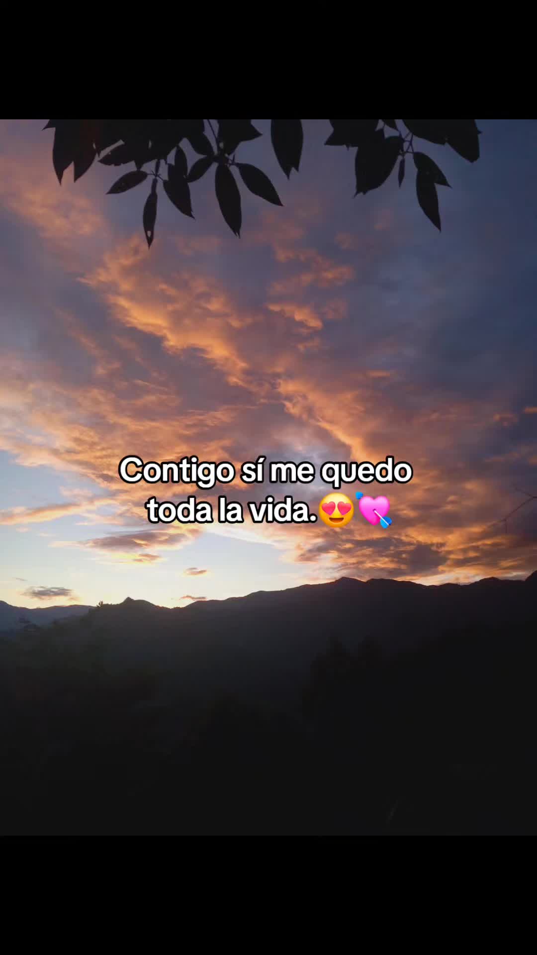 @𝓥𝓪𝓷𝓮🫶🏻🌷