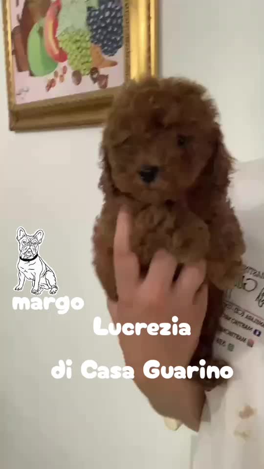 @tiziana
