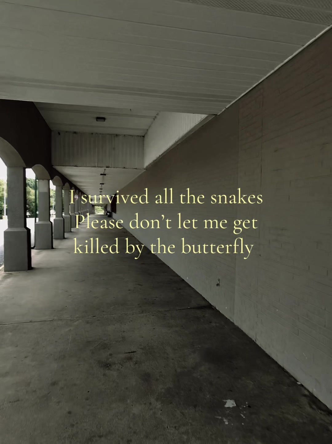 @𝔱𝔥𝔞ℜ𝔢𝔞𝔩ℭ𝔧