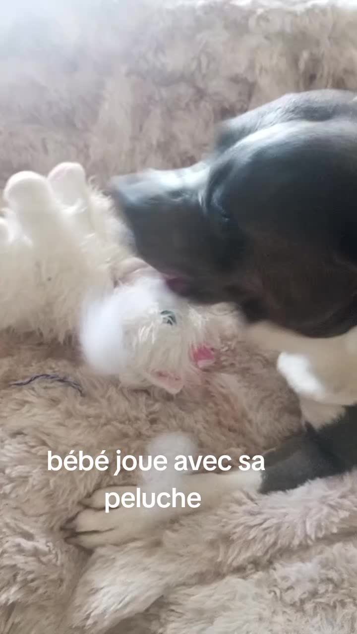 @Mireillevolletber