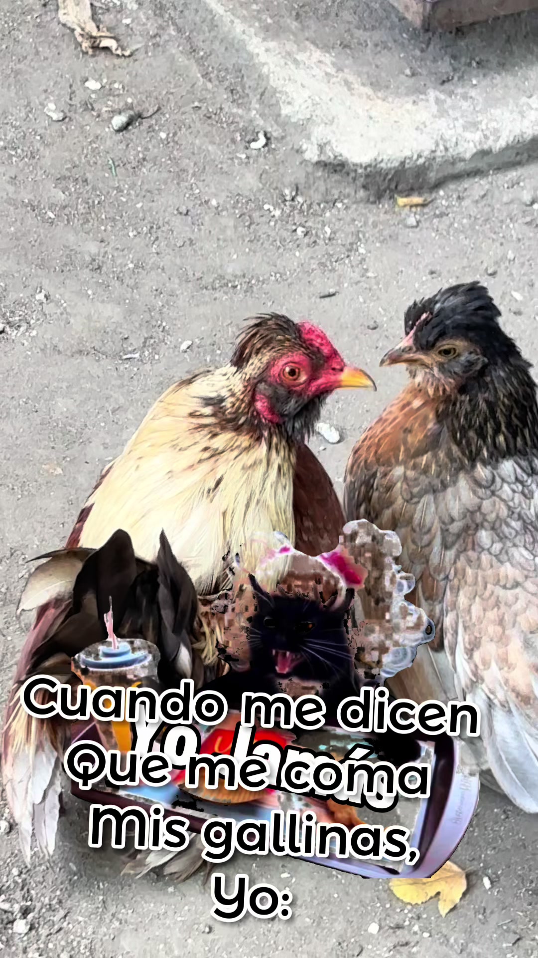 @Mayra Arreola