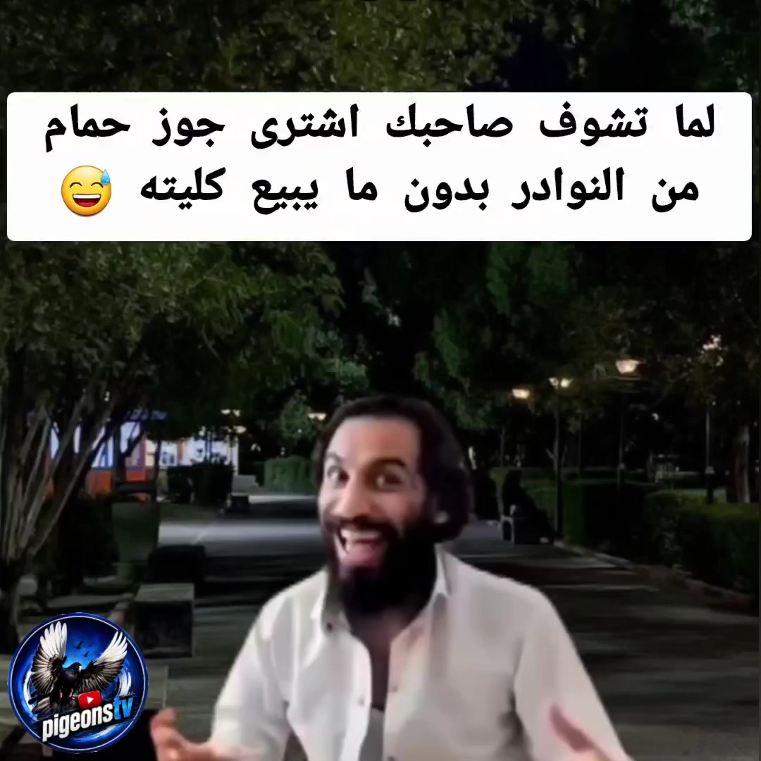 @Pigeons Tv