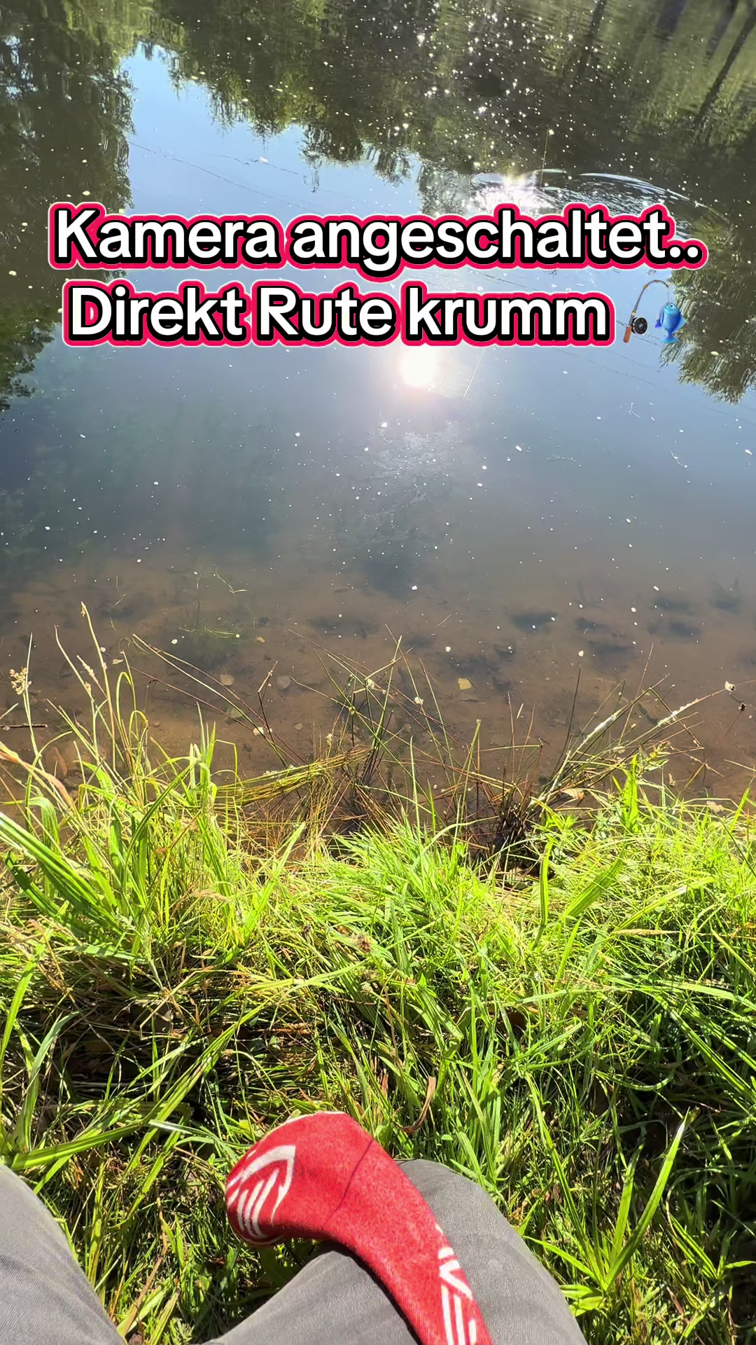 @Fishing_DP