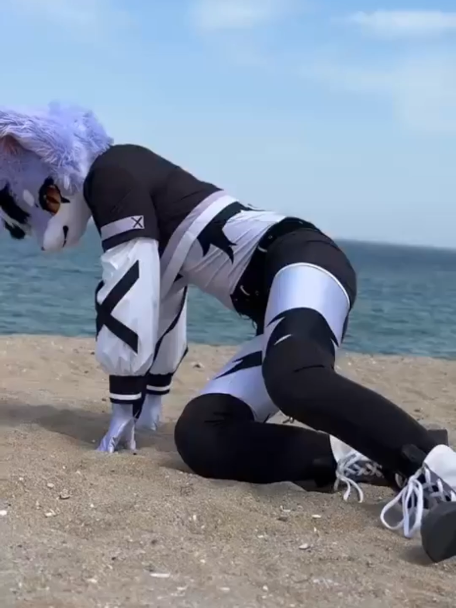 @radywolf