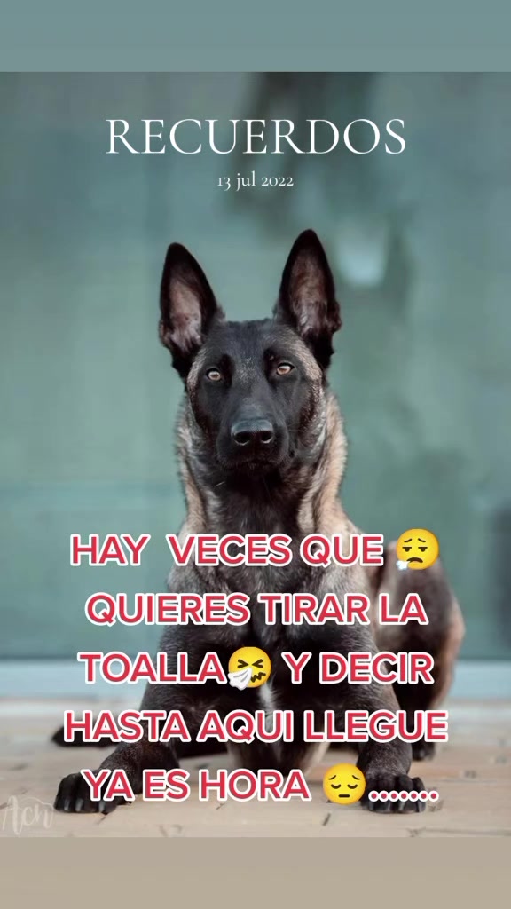 @BANEO19 🤙