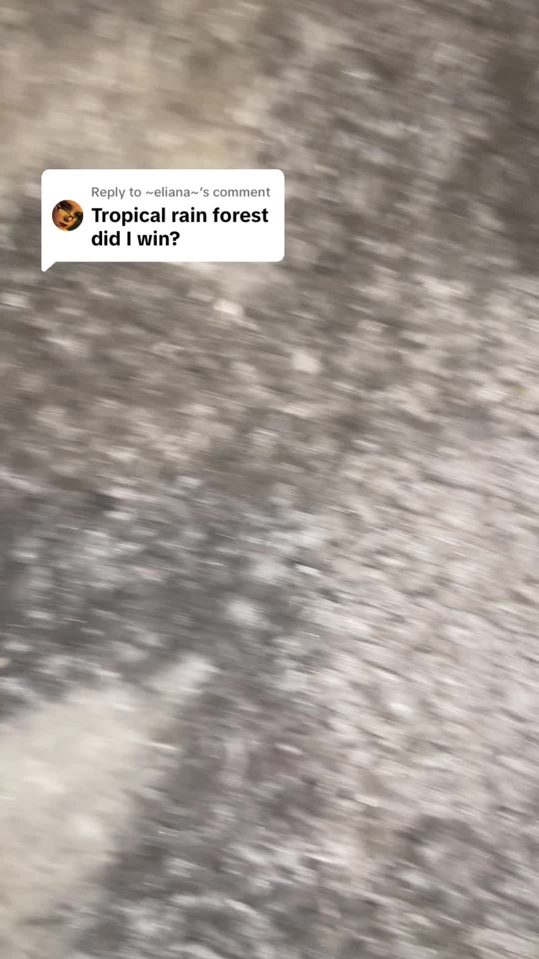 @🌪️🫧looeys #1 fan!!!🦭🐚