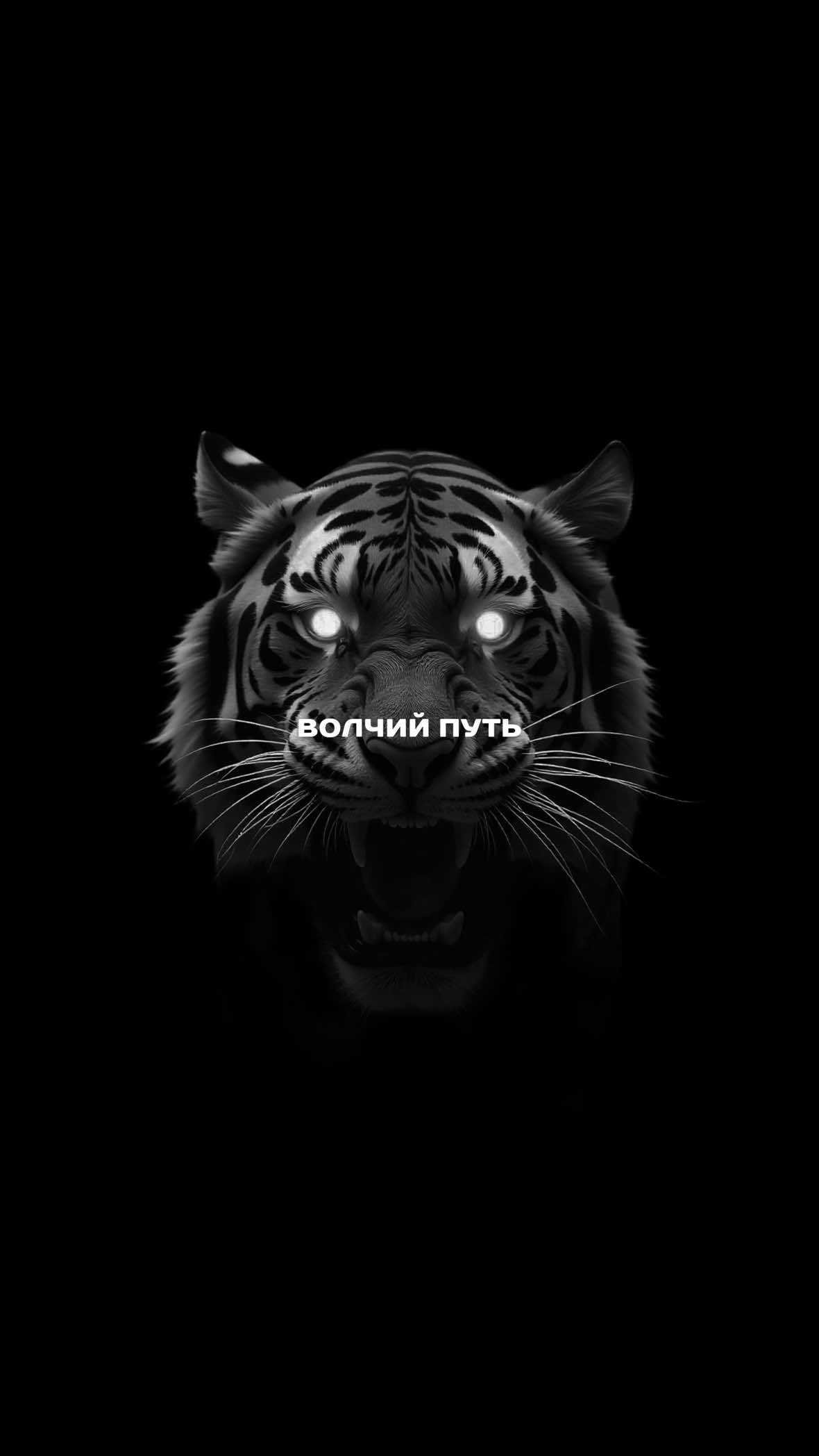 @Волчий Путь