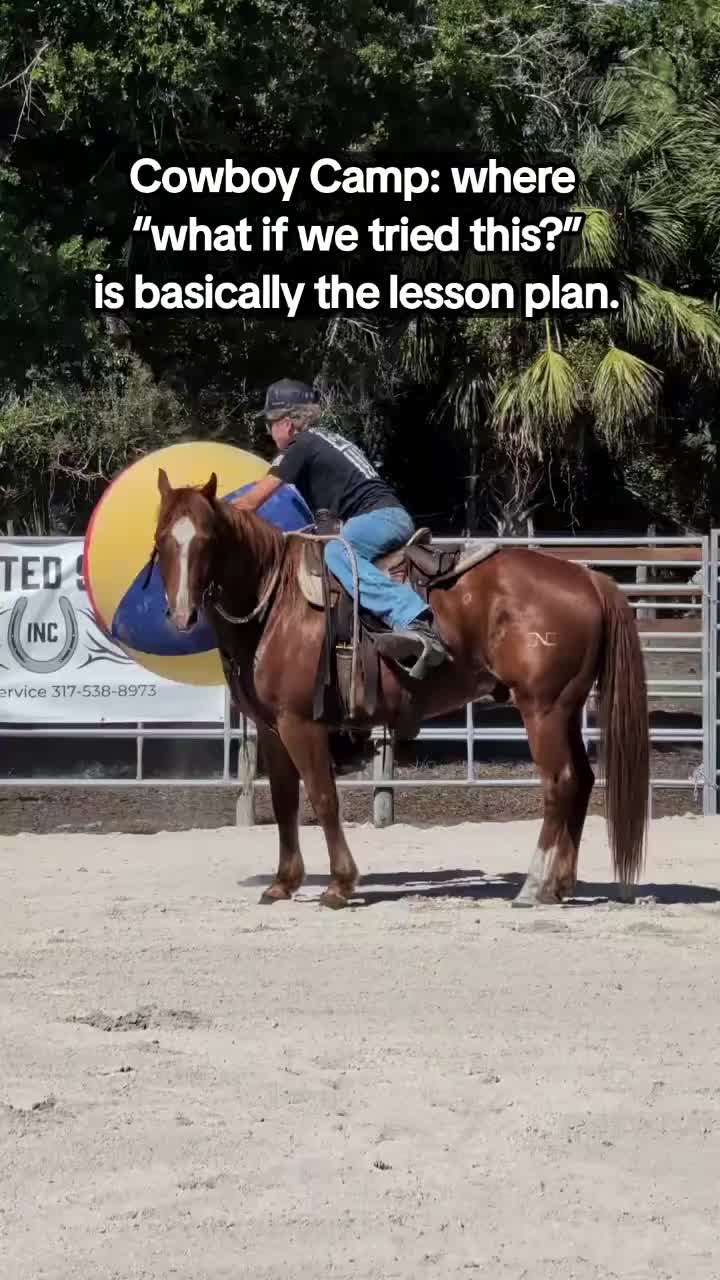 @Duyn Equine Horse Training