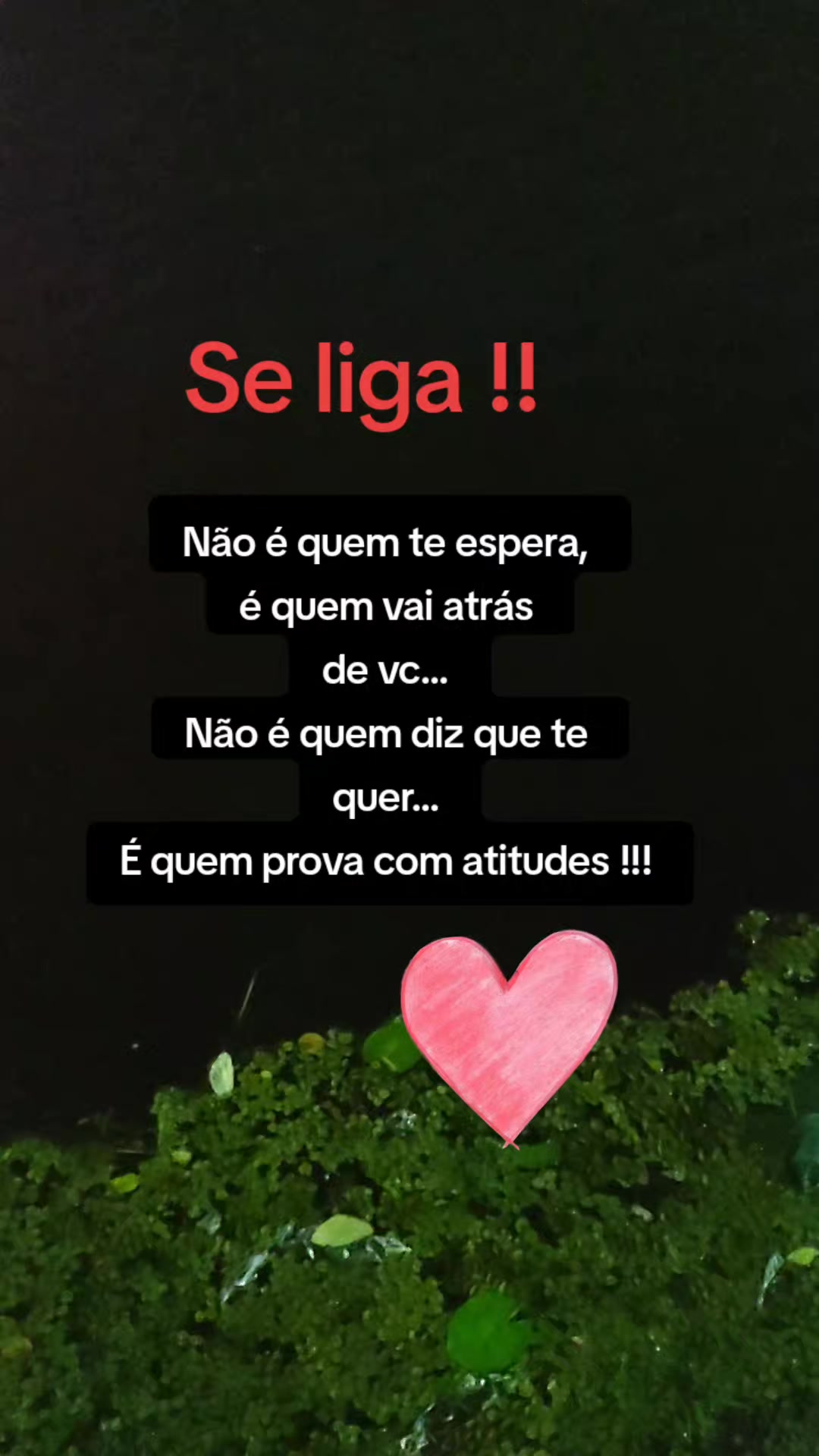 @Miguel Ramos arcanjo