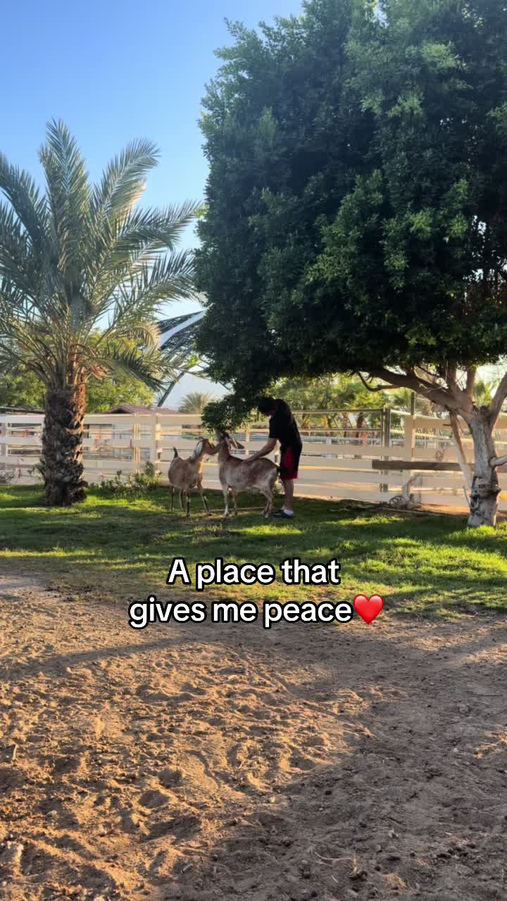 @dubay.13