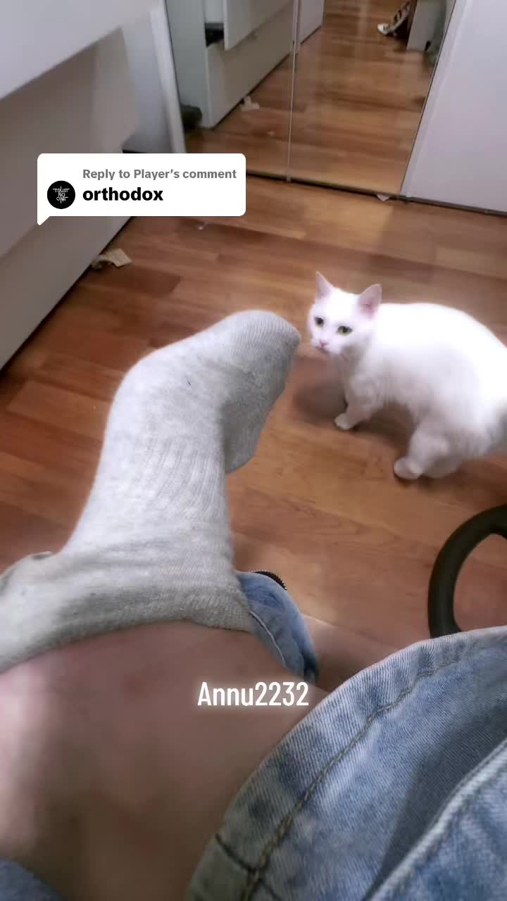 @annu_2232