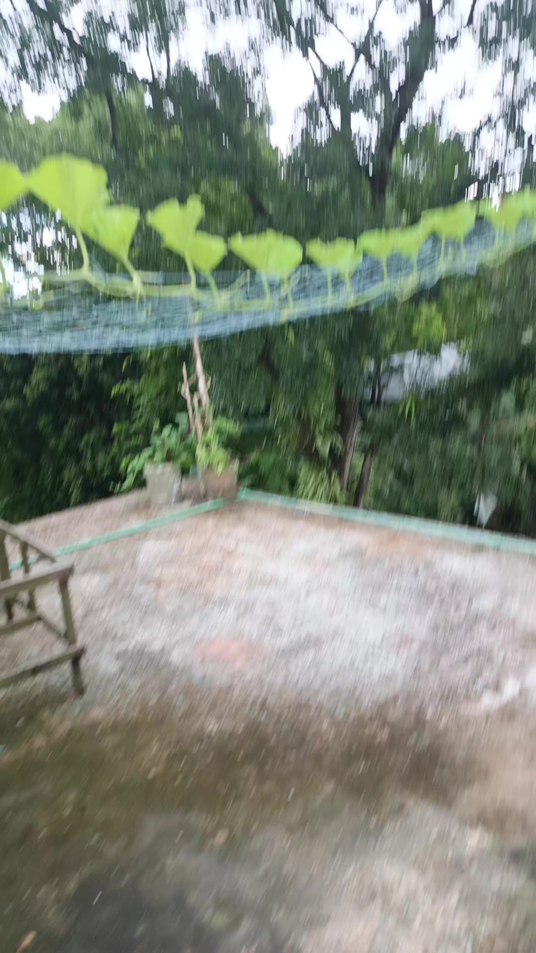 @দুষ্ট মেয়ে মিষ্টি পায়েল