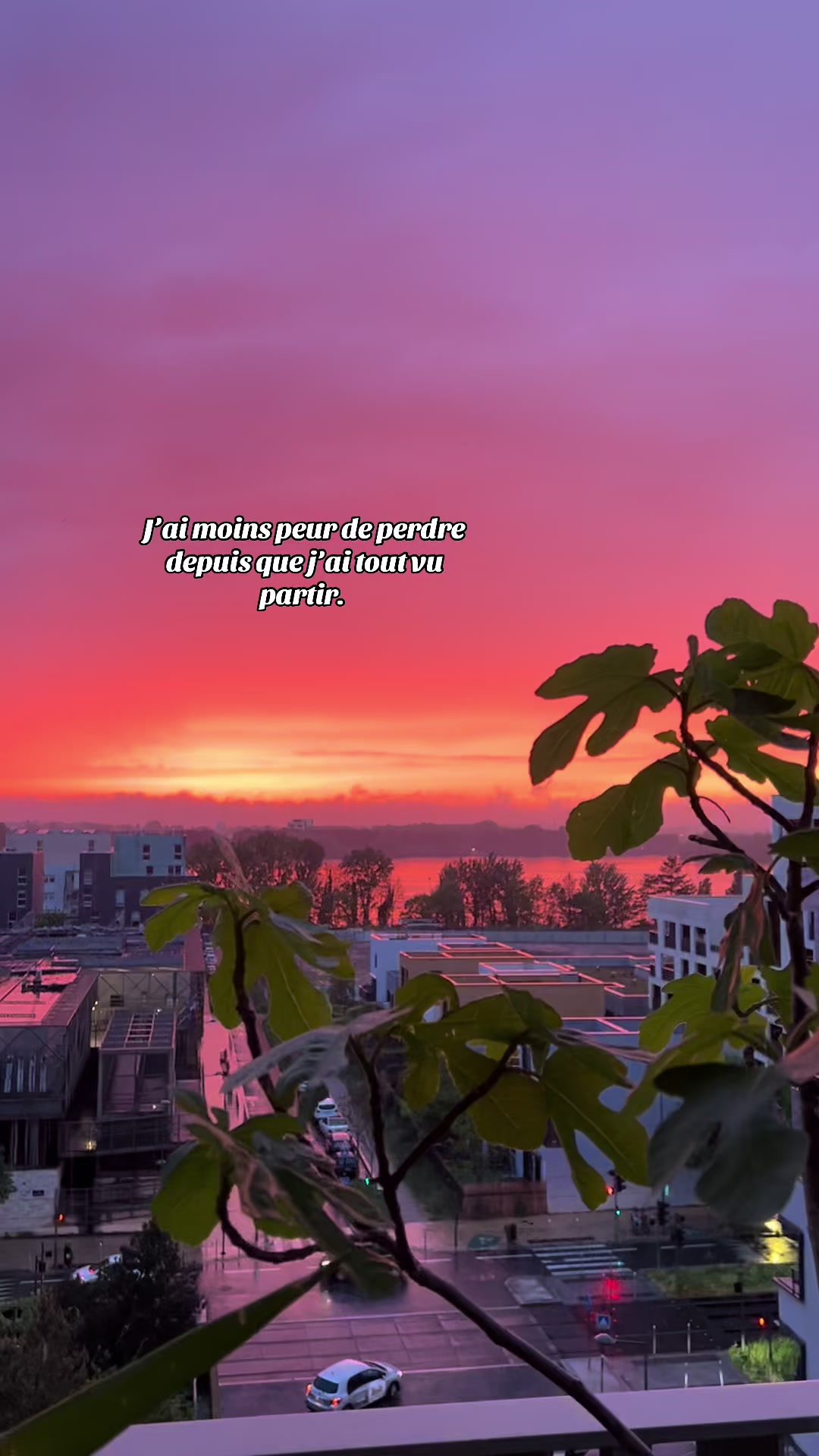 @SelonLeMood 🦋