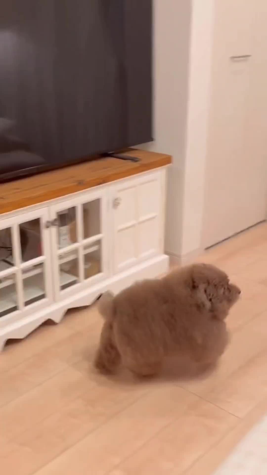 @ипучи