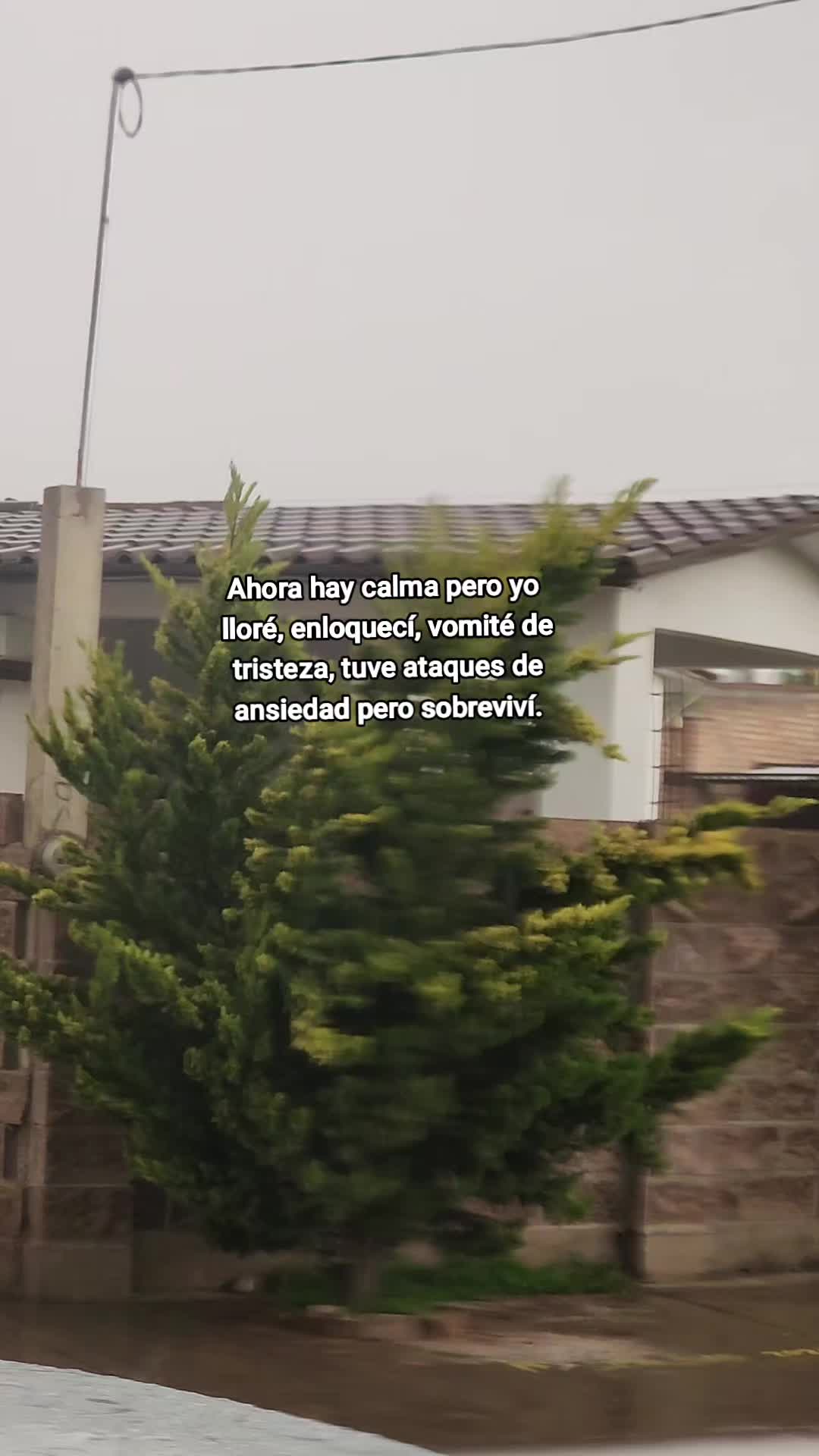 @Eliza Garcia