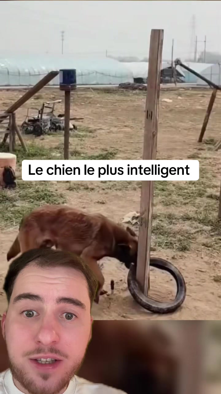 @lucasenparle