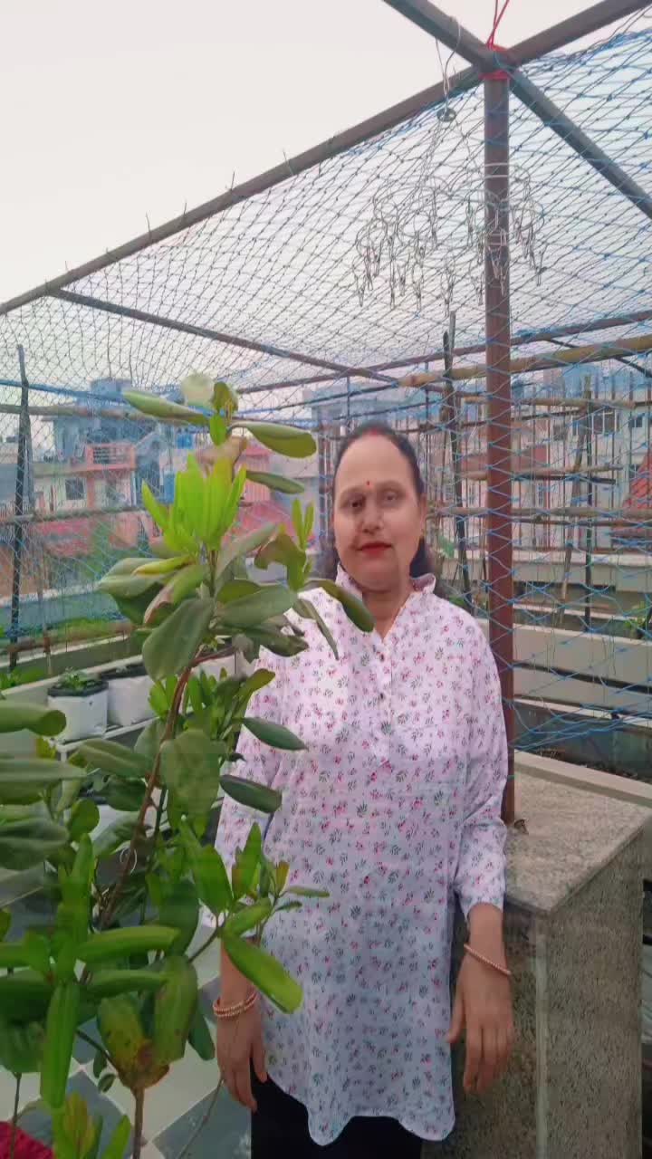 @ramchandralohani63