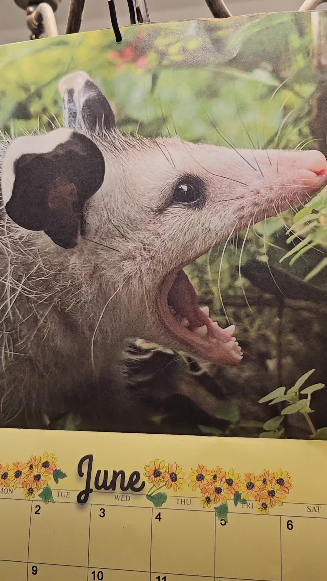 @OPOSSUMDAWGMOM