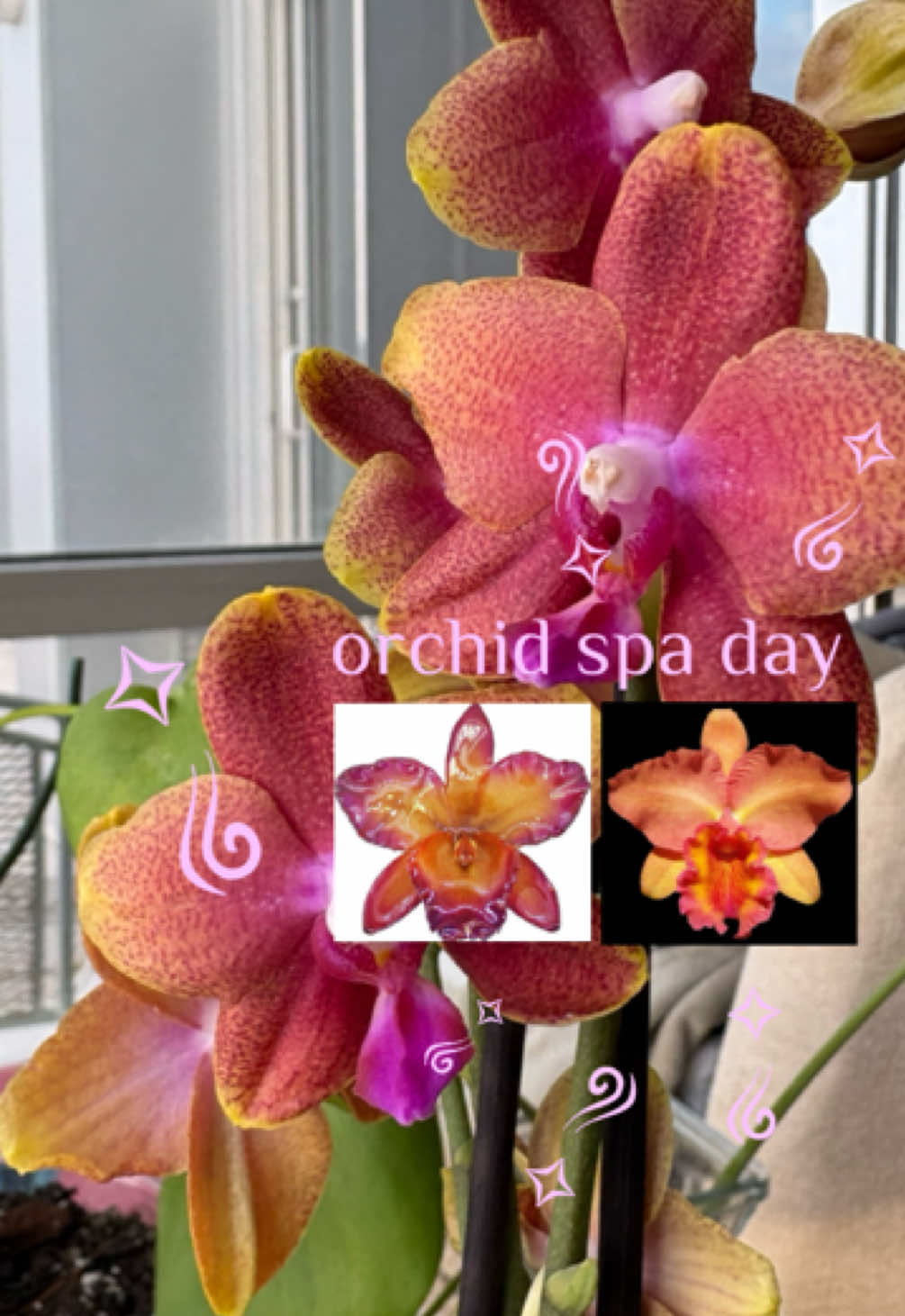 @Nia