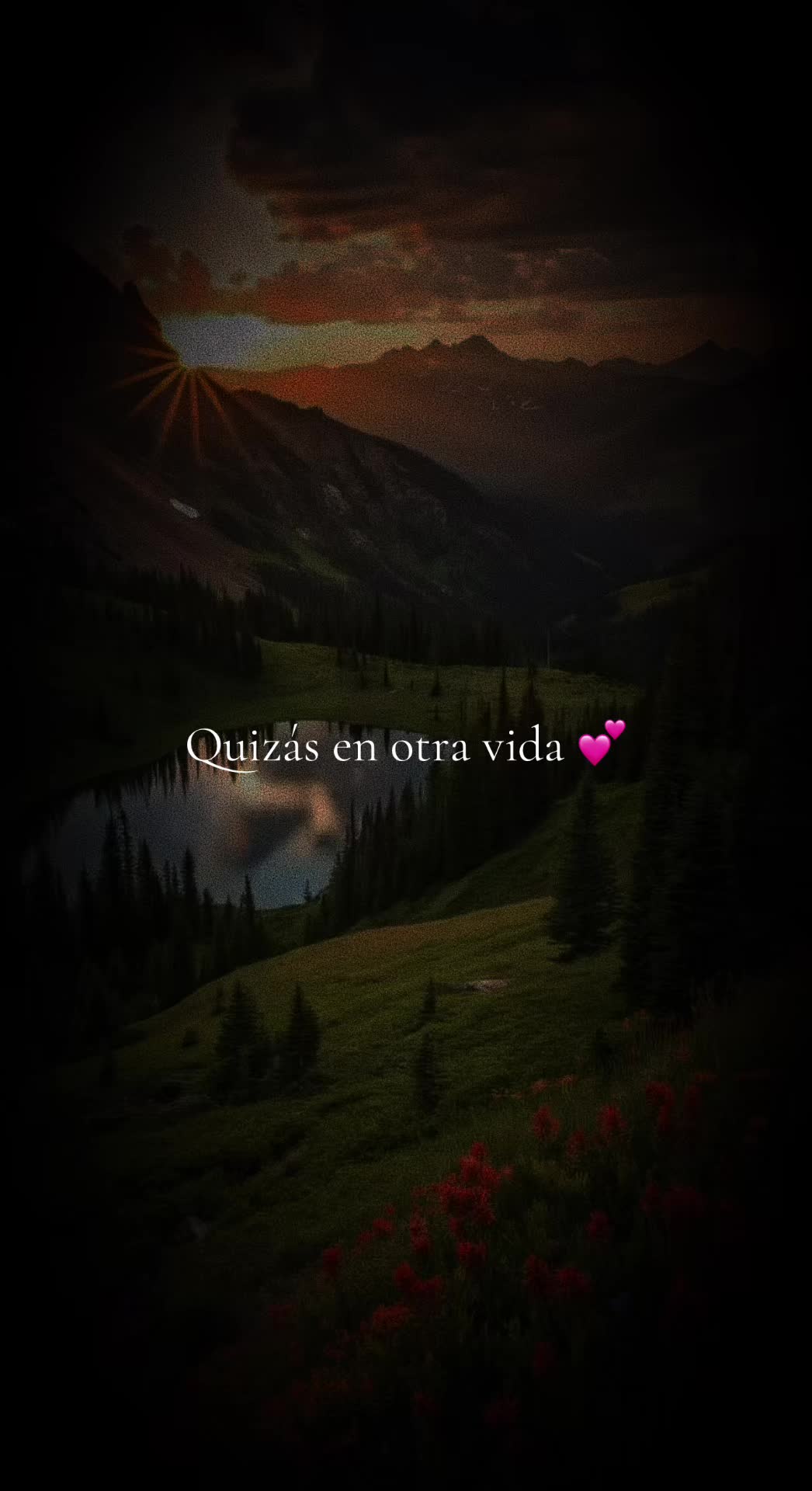 @✨️