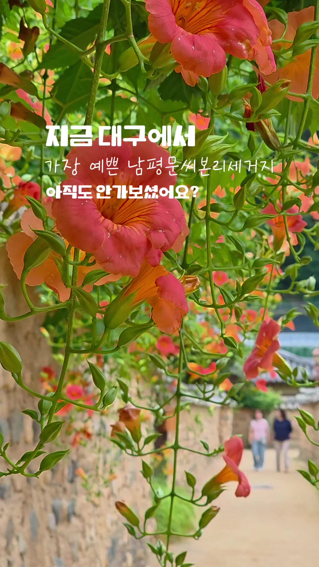@ON로드 여행기