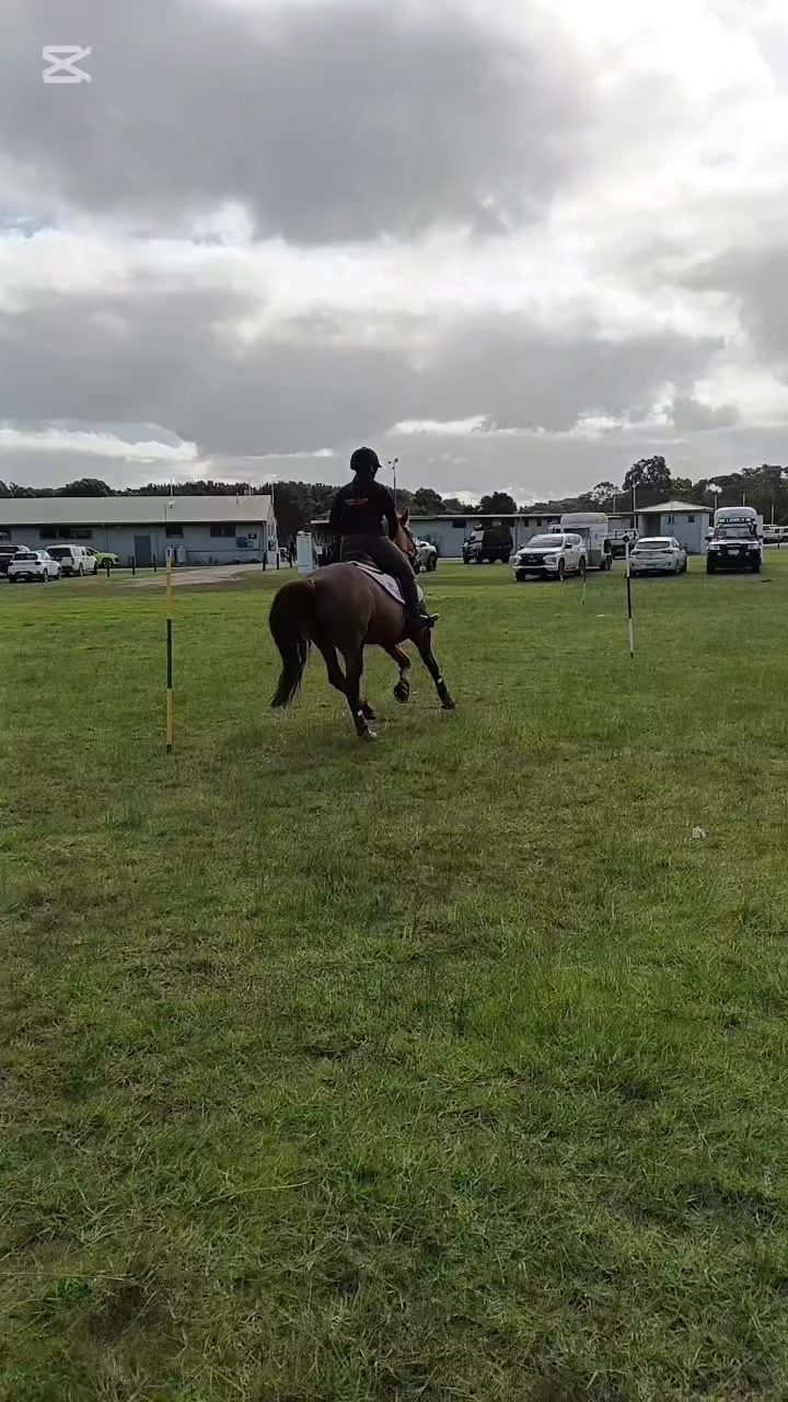 @Pip_equestruan9