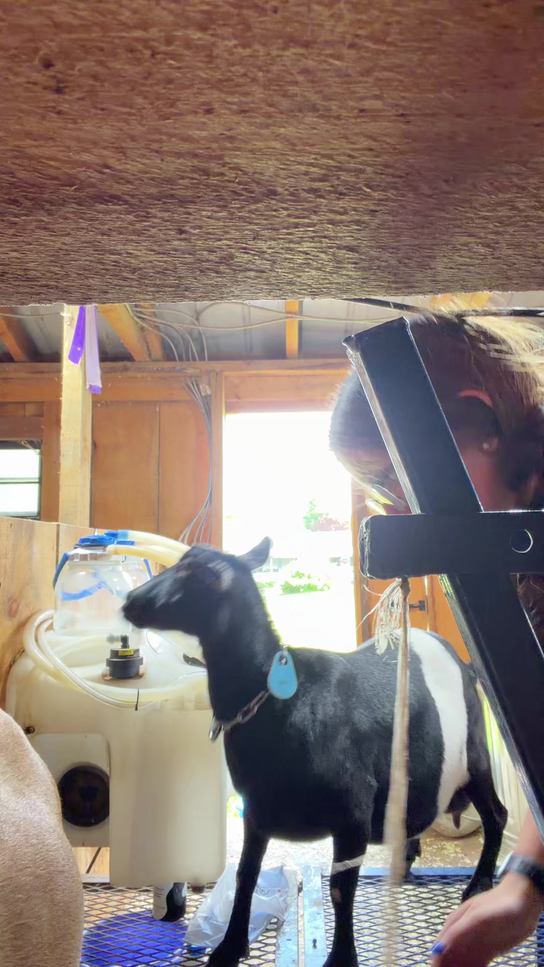 @bonnie.brook.farm