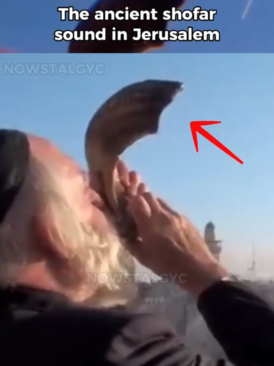 @NOWSTALGYC