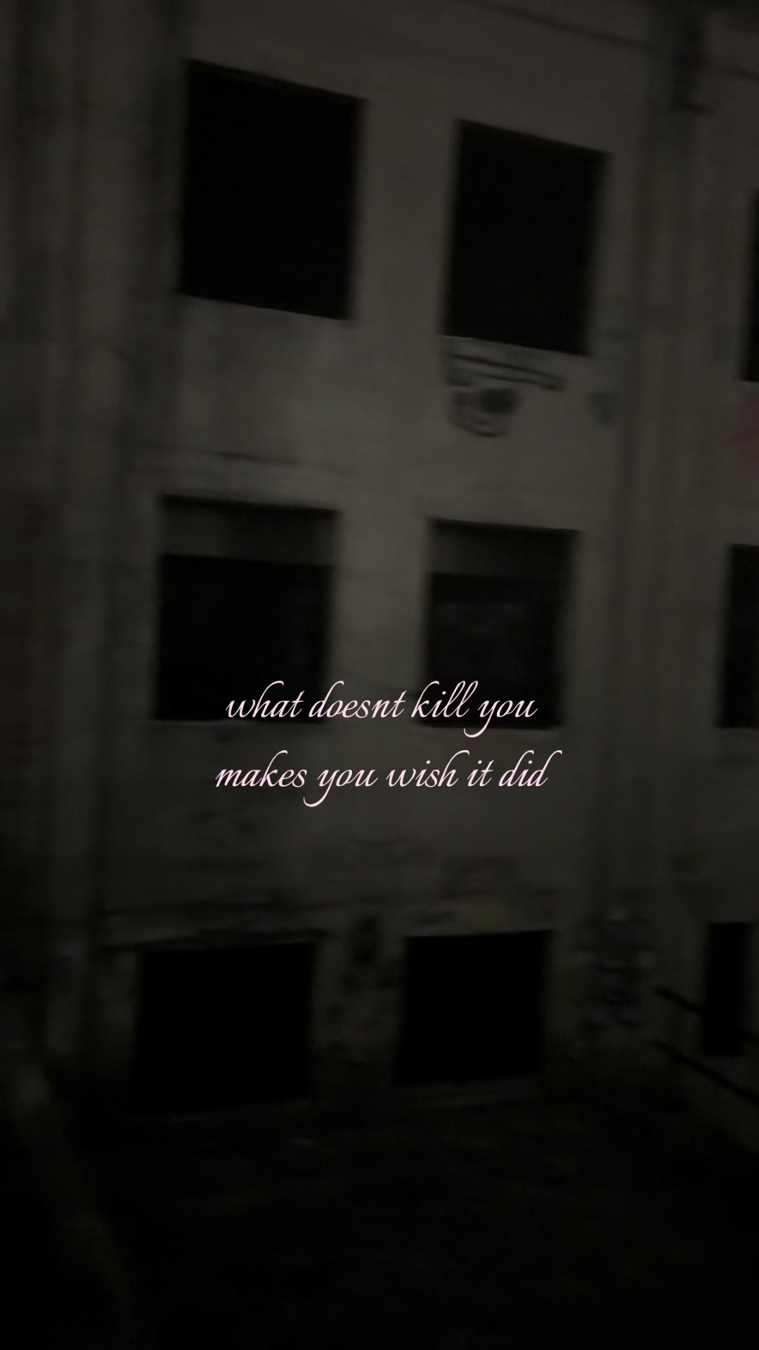 @mommy senpai