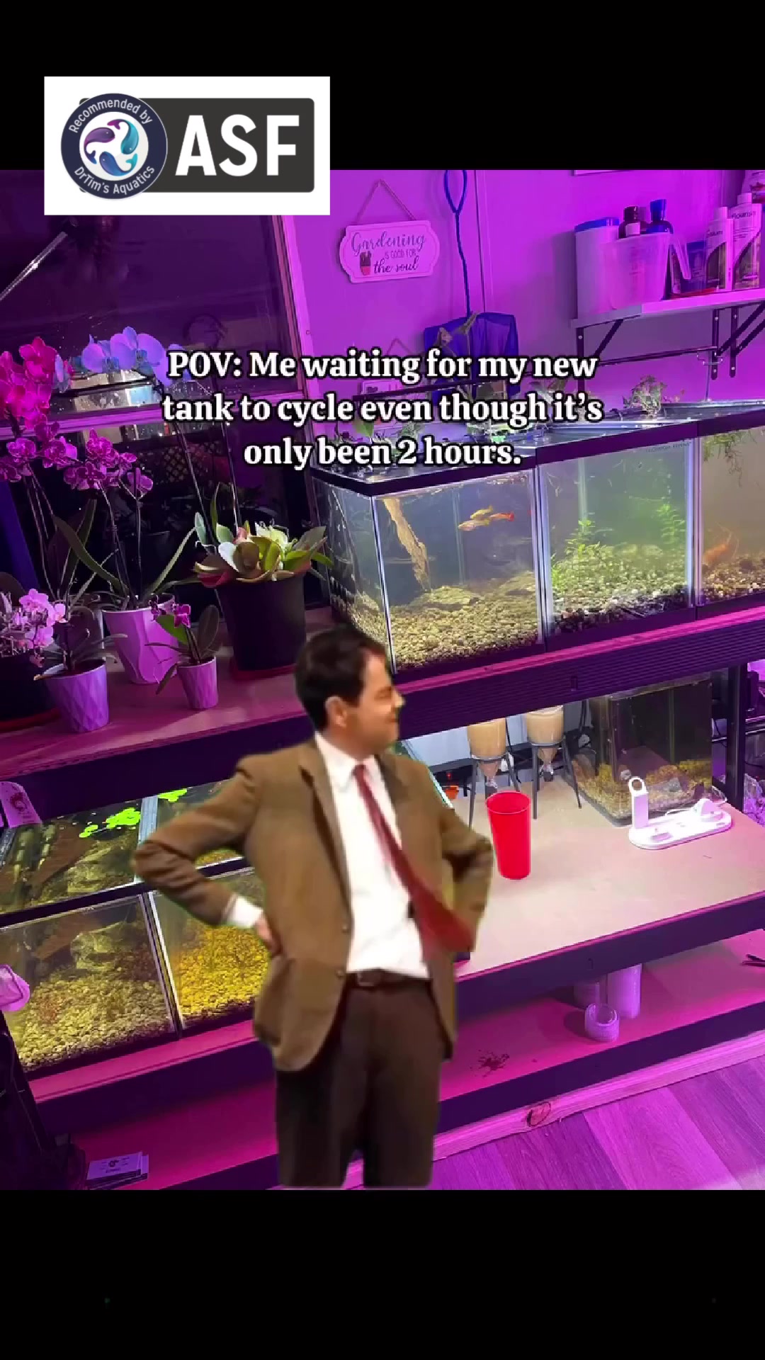 @DrTim