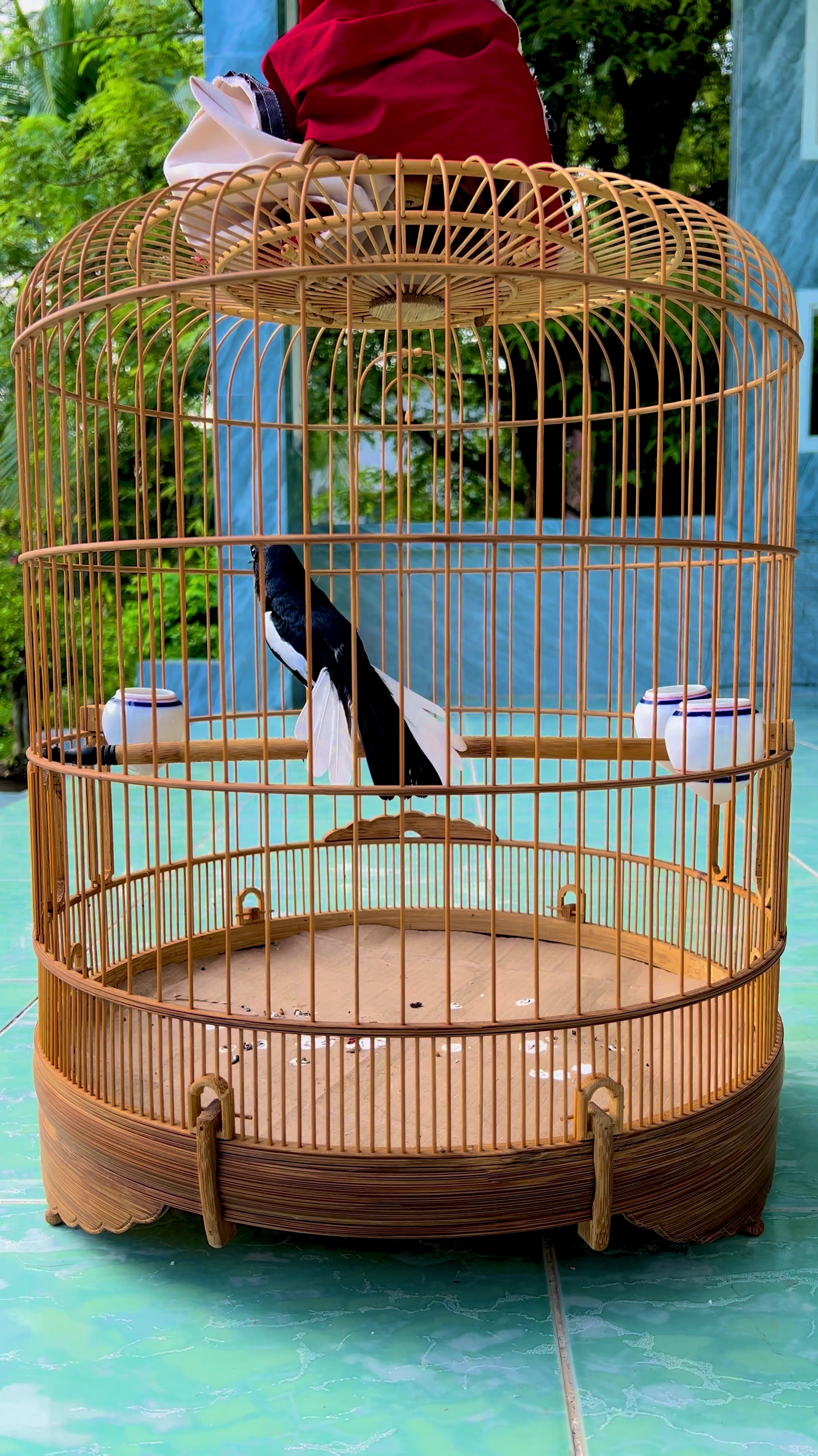@Kiệt Nguyễn