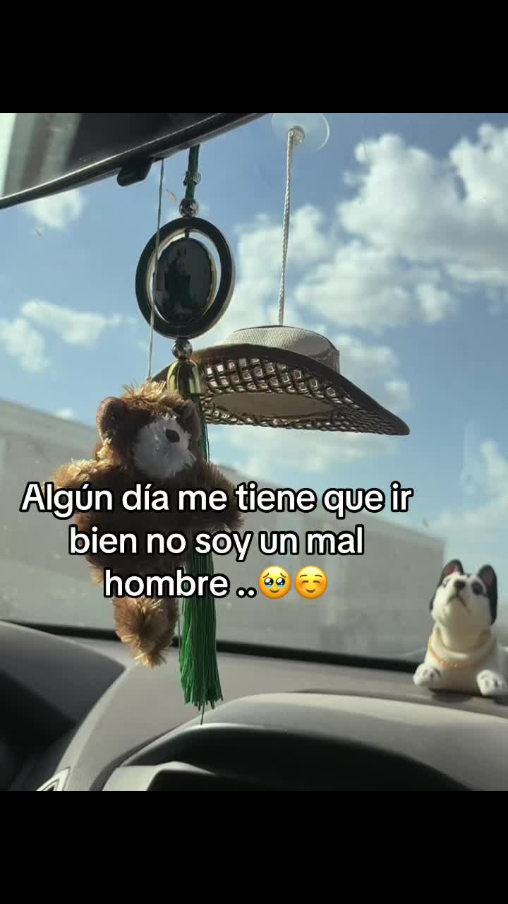 @Frank 🕷️🐥