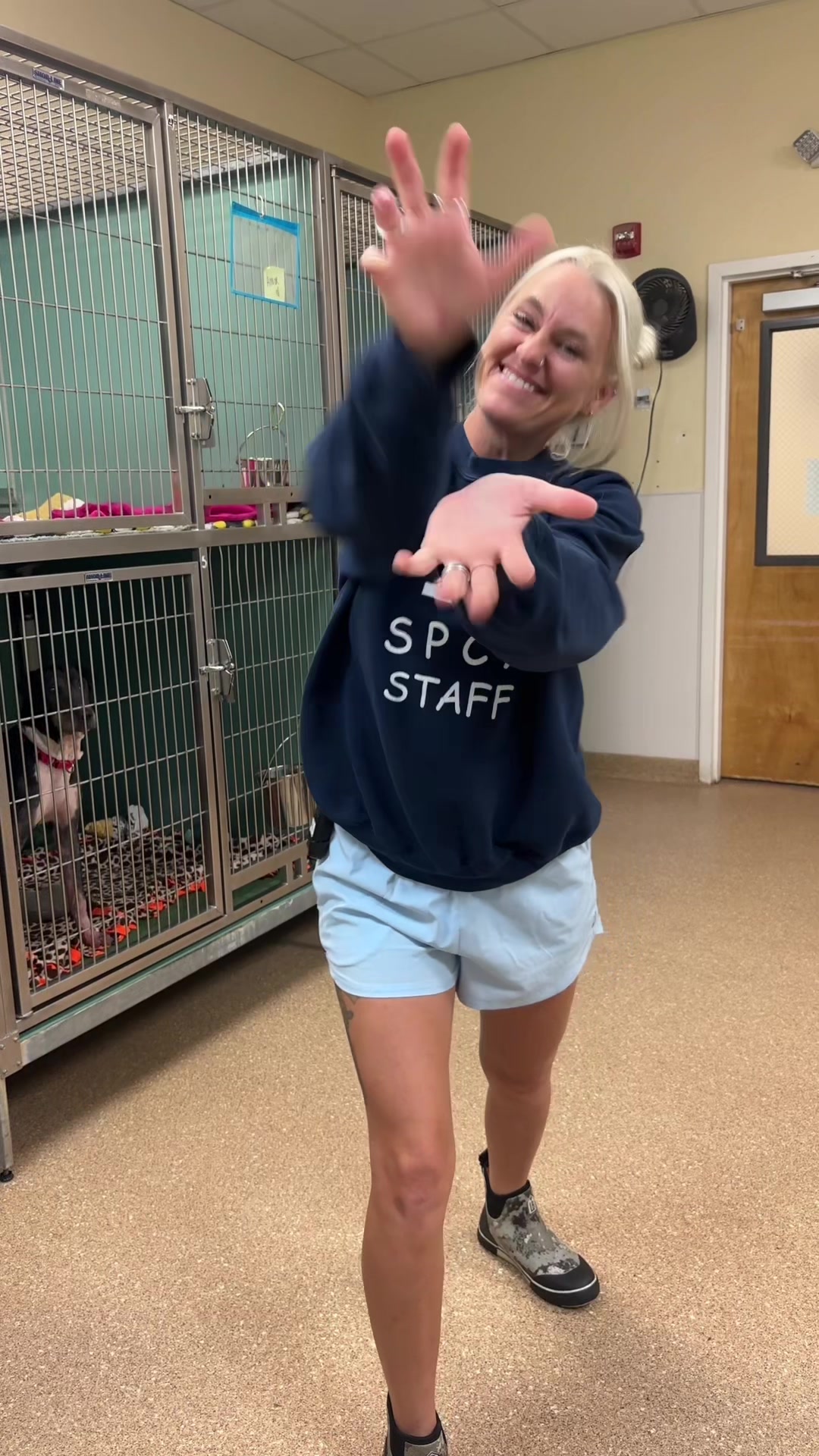 @2vettechs