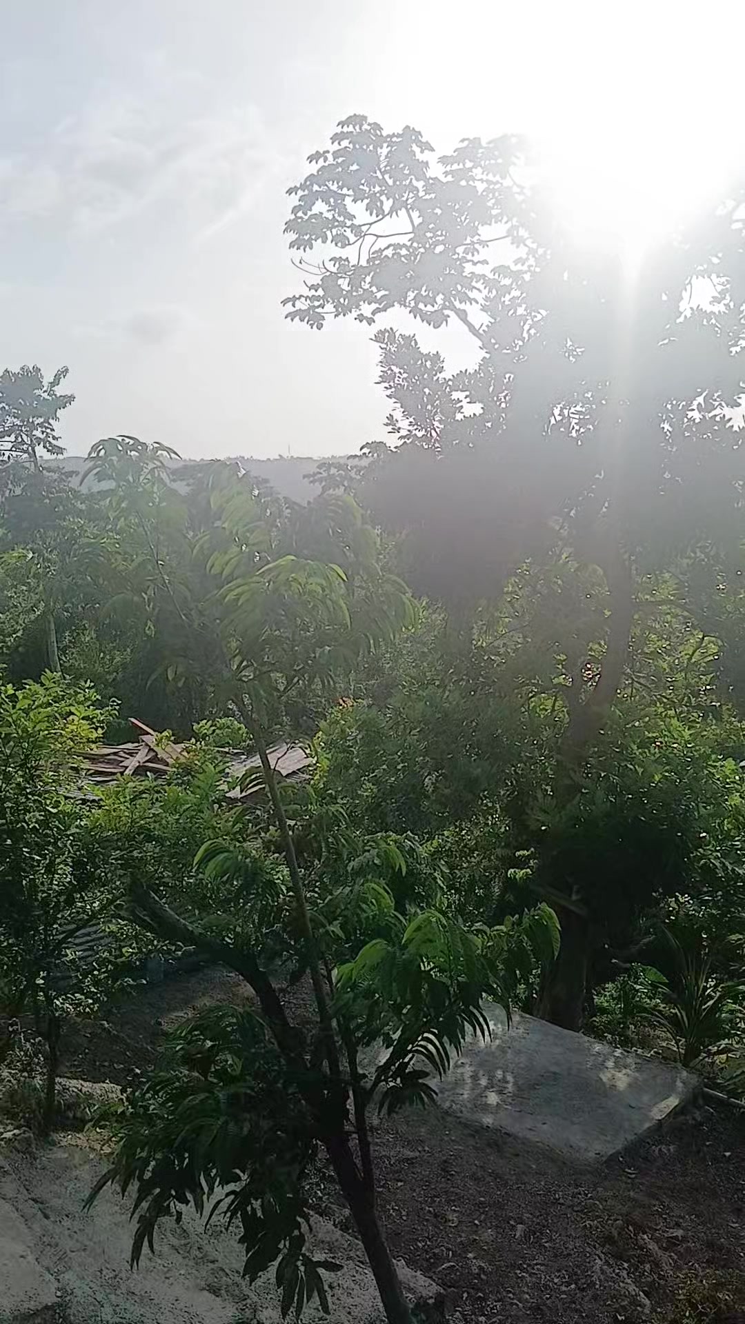 @Kevern 🇯🇲🇨🇦