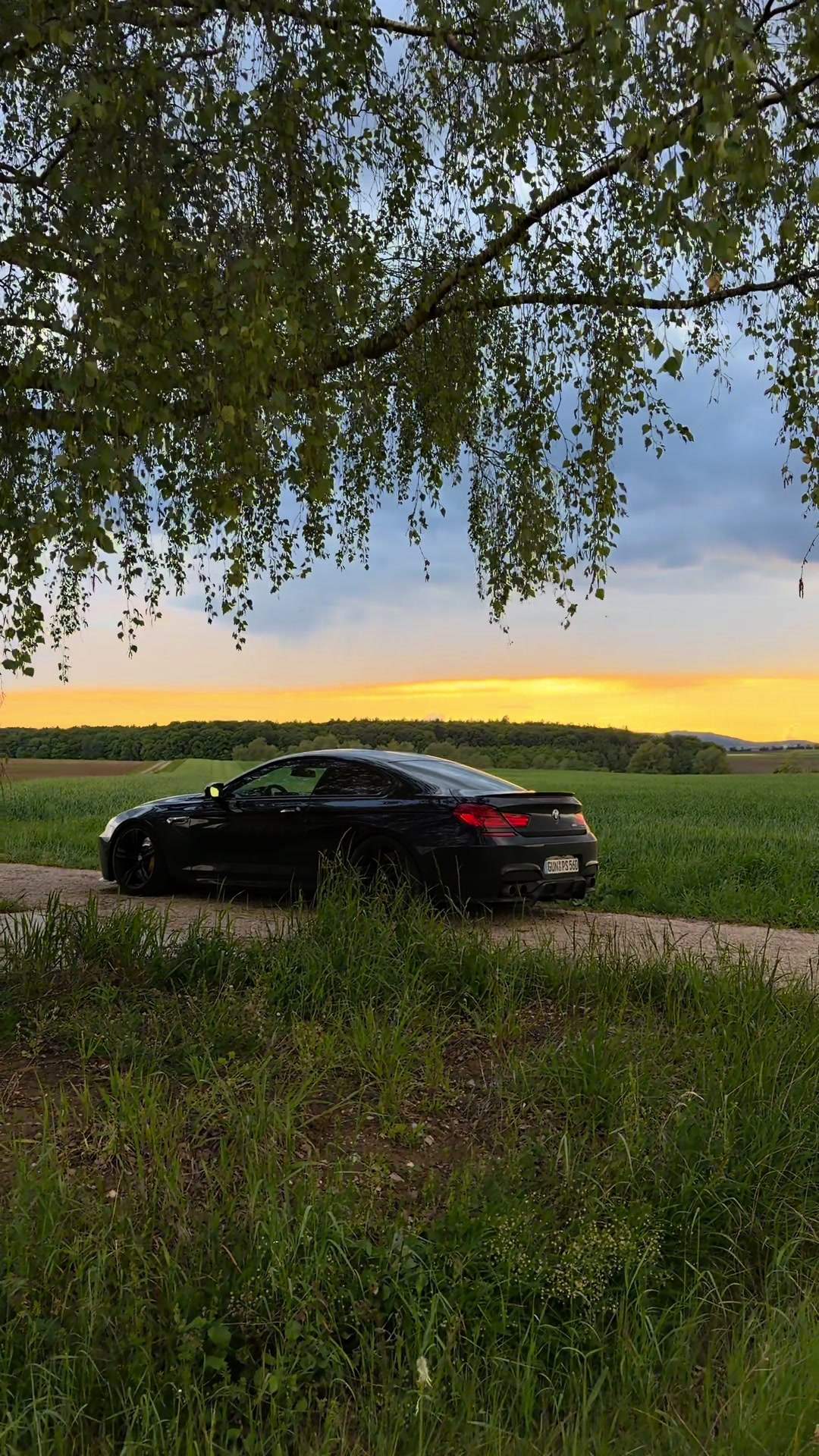 @John.m6