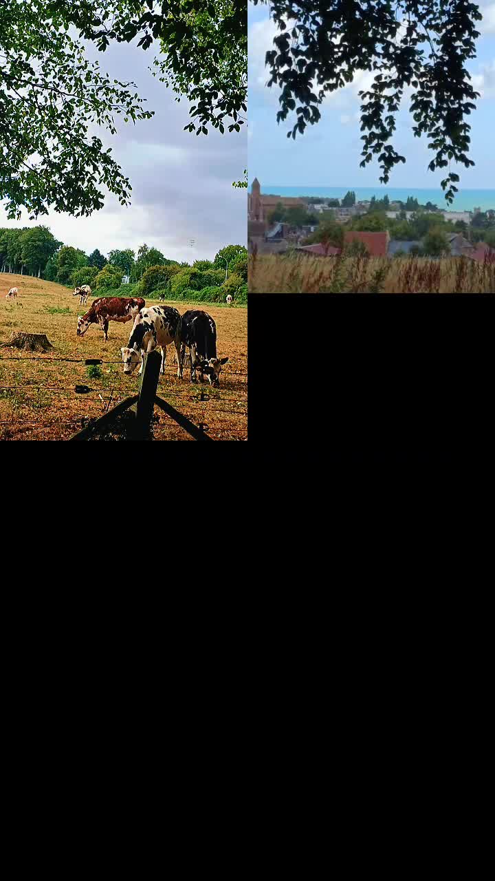 @k76
