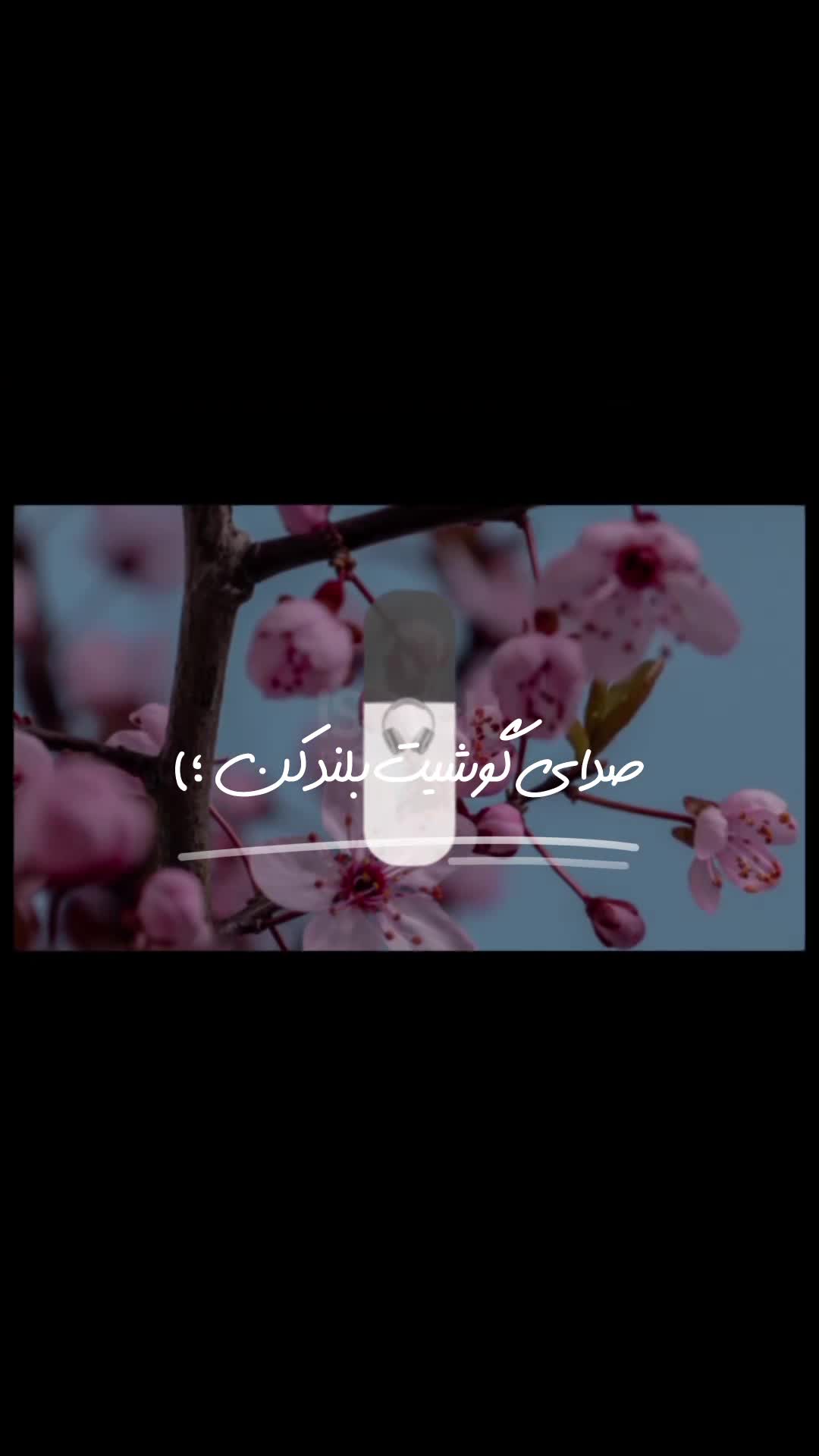 @E4Fane_hamidi