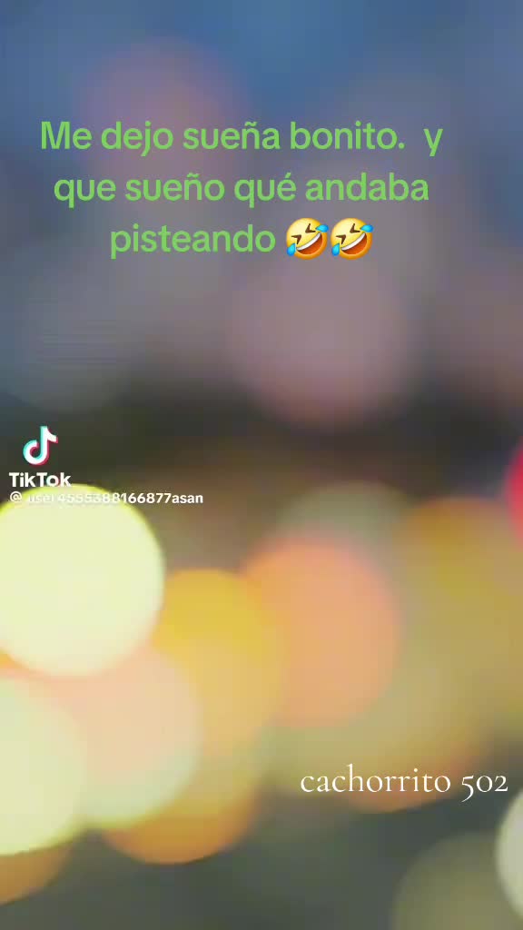@El cachorrito 🐕 502👍