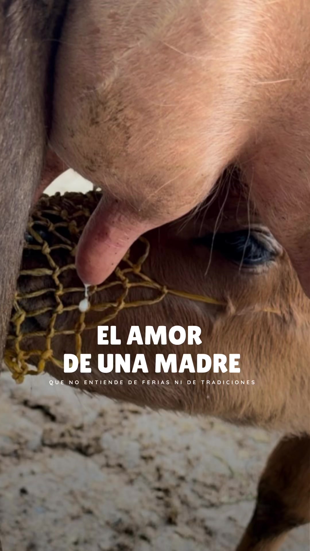 @Rehagronegocios