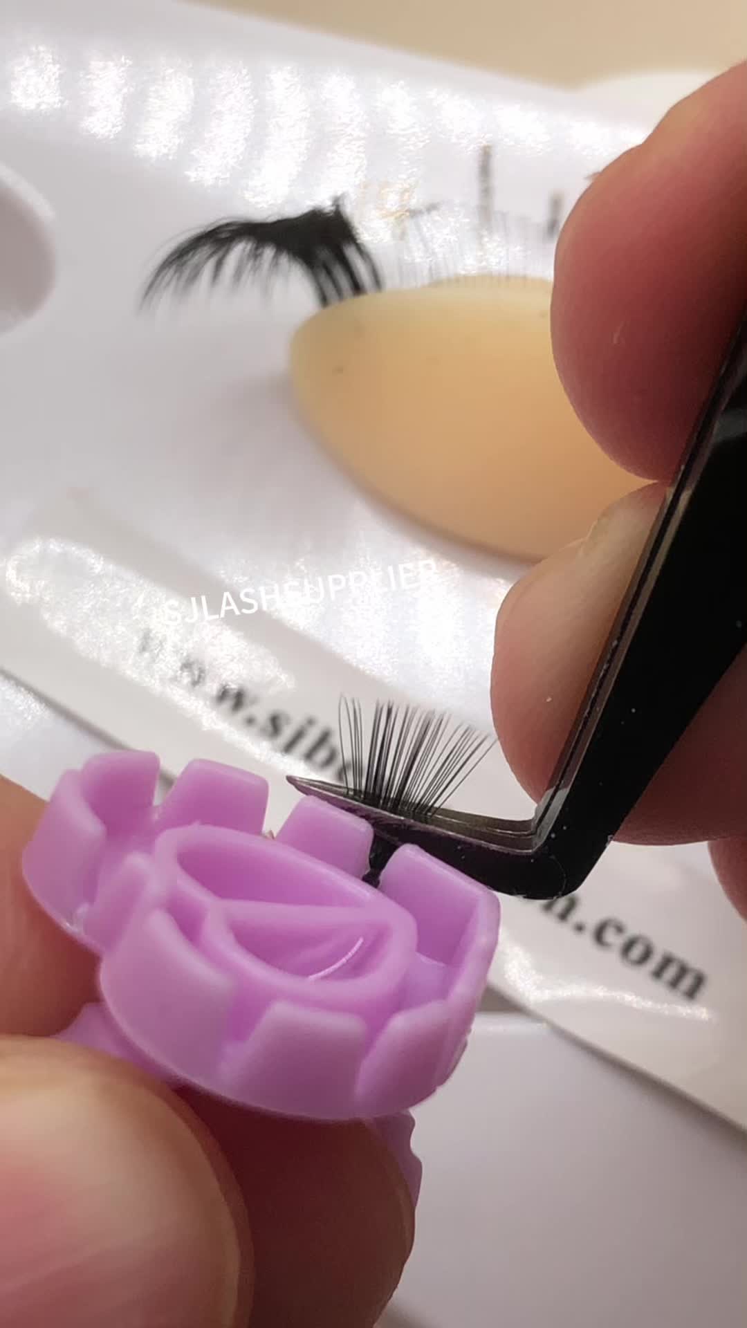 @sjlashsupplier.zoe