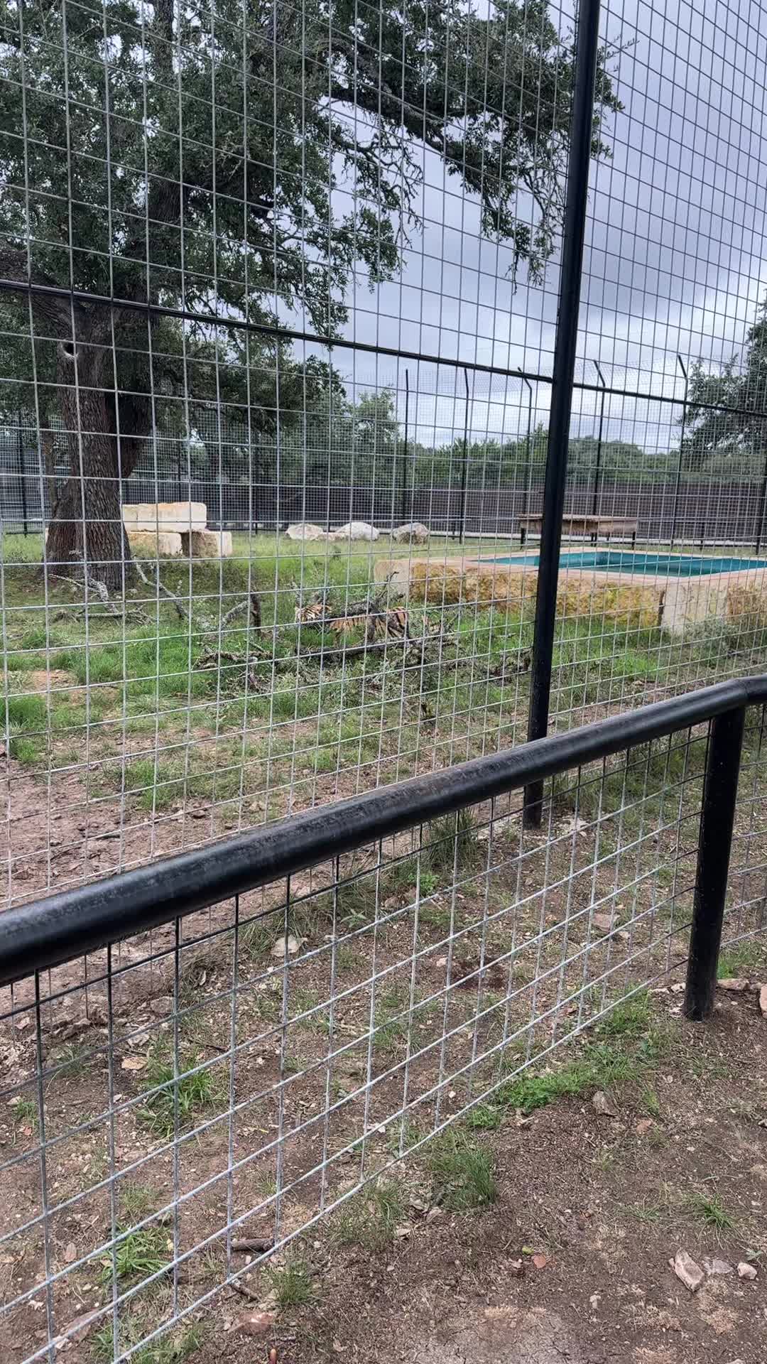 @Texas Wildlife Park
