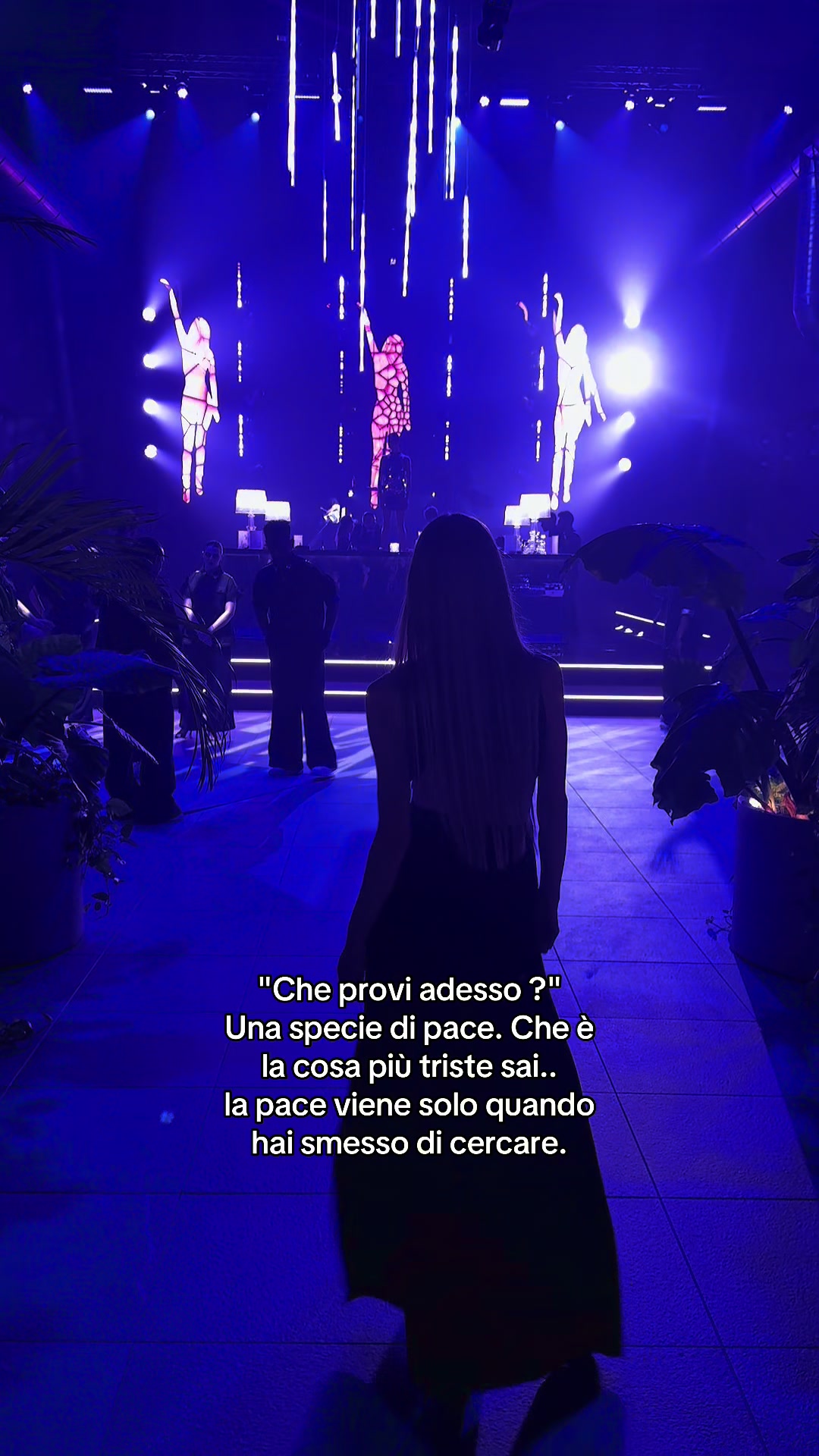 @LUCE✨