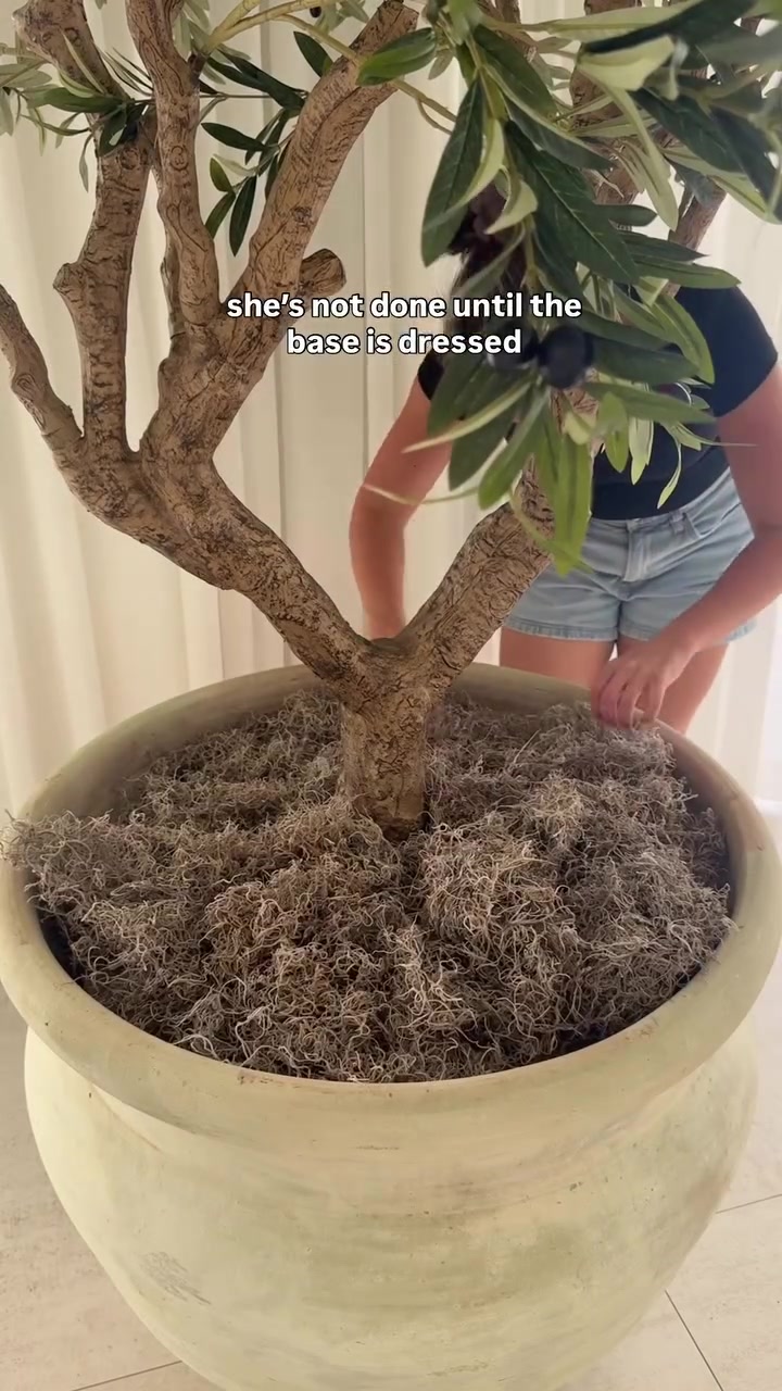 @Raquel Alpizar
