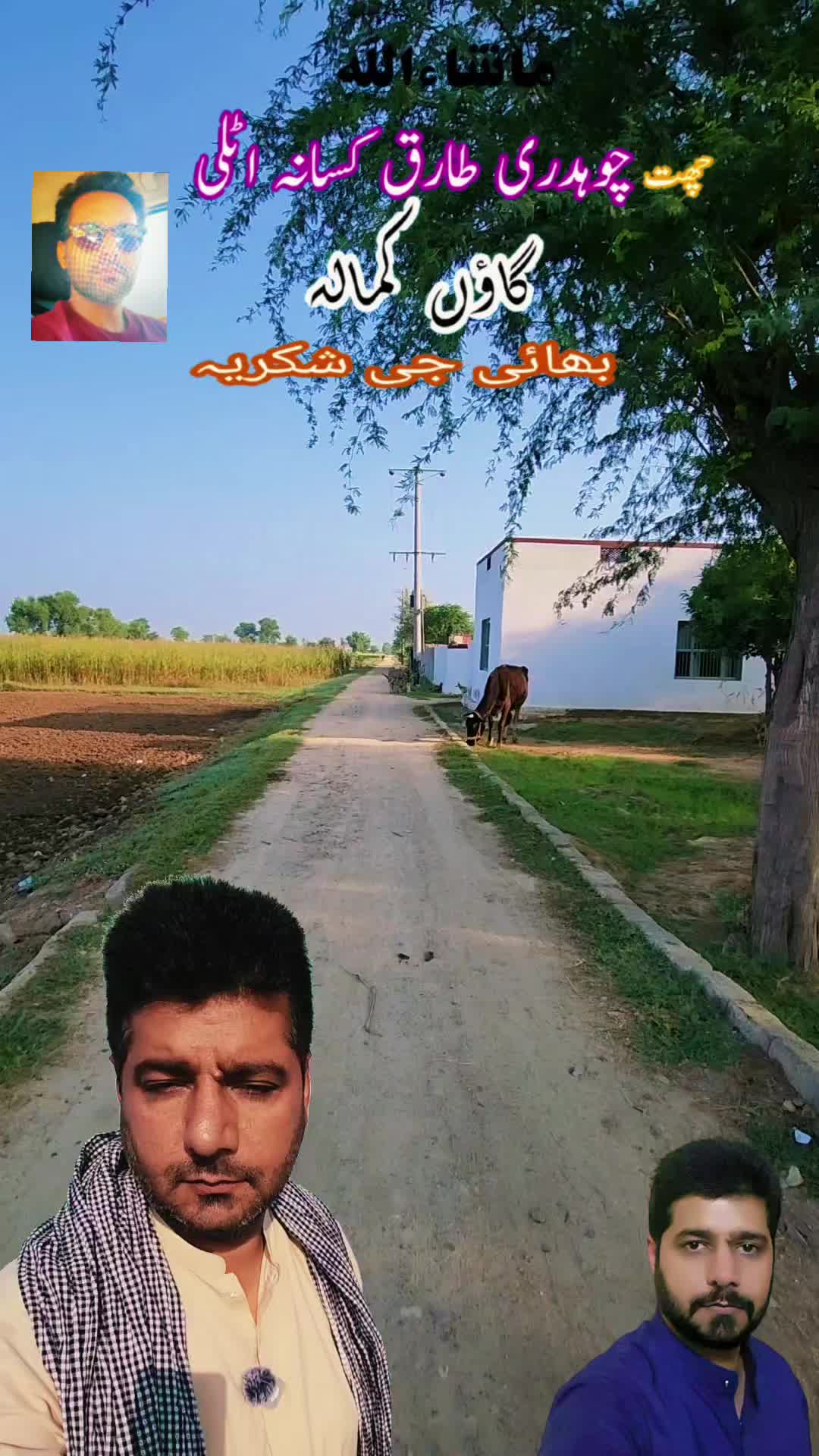 @amrakalan5