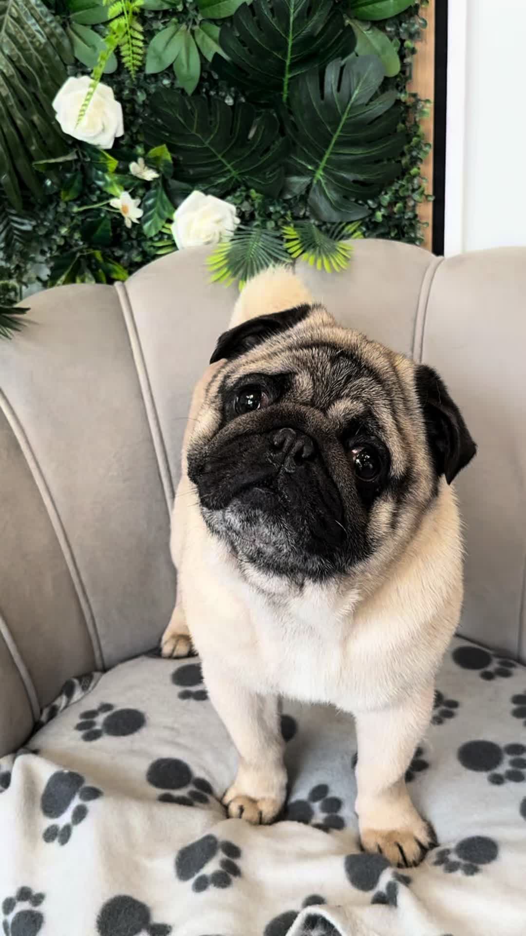 @iwanxoczko